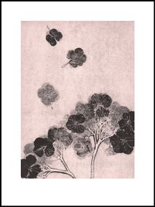 Blush Pink Hydrangea Limited Edition Print - 50cm x 70cm