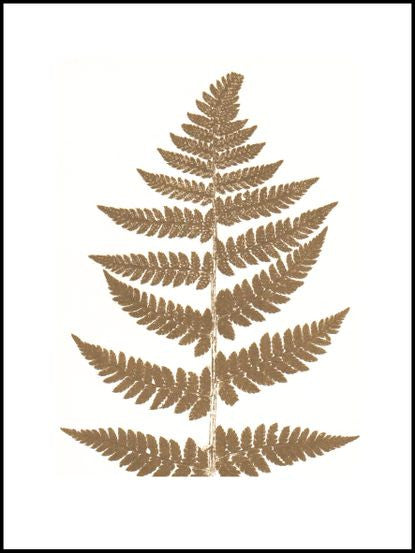 Gold Fern Limited Edition Print - 30cm x 40cm — Default 1