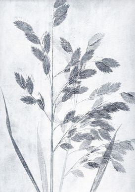 Grey Grass Print A5 Postcard